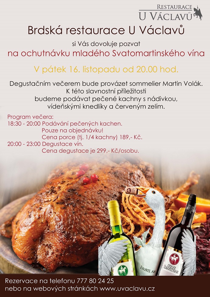 Ochutnávka mladého svatomartinského vína